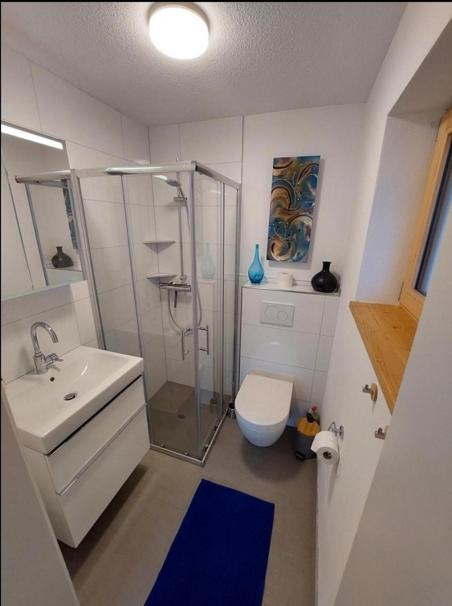 Haus Stroehle Appartement Schruns Buitenkant foto